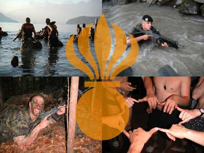 Schweizer Panzergrenadiere - Titelbild